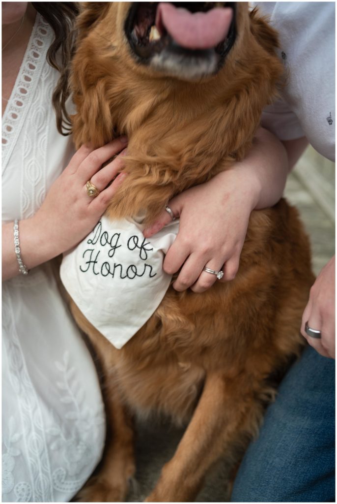Detail show of engagement ring, aggie rings, and a "Dog of Honor" bandana on a dog.